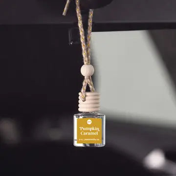 Fall Car Diffusers